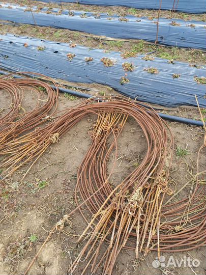 Маленькие дуги для капусты и клубники