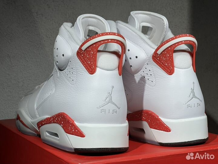 Nike Air Jordan 6 