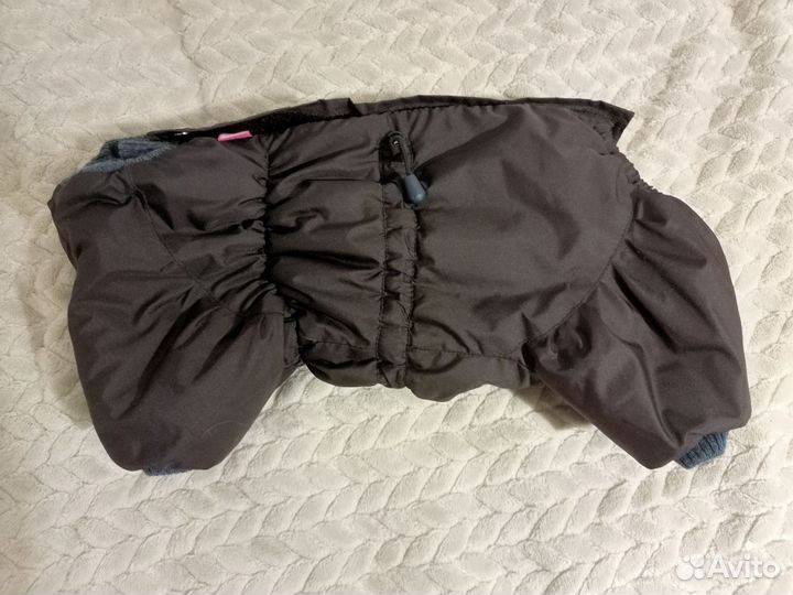 Одежда для собак средних пород