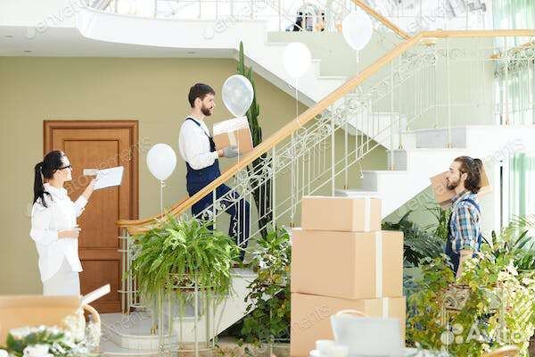 Грузчики, грузоперевозки, Вывоз мусора