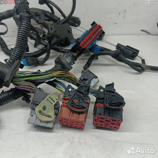 Проводка подкапотная Ford Focus/Focus RS/Focus ST