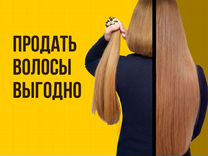 Скупка волос сдать продать волосы Ростов на Дону