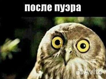 Пуэр Китайский чай 5 Сортов