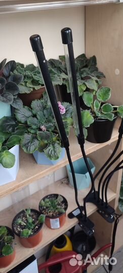 Фитолампа для растений полный спектр