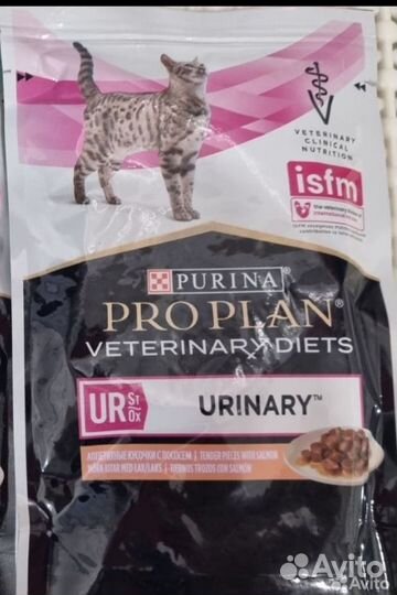Корм для кошек проплан влажный
