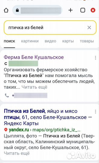 Куры молодки несушки, разные в наличии