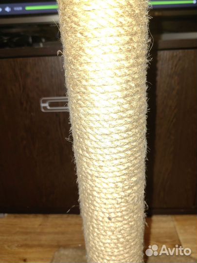 Когтеточка