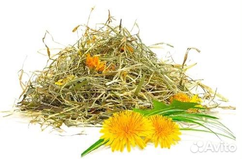 Сено для грызунов / Домашних животных