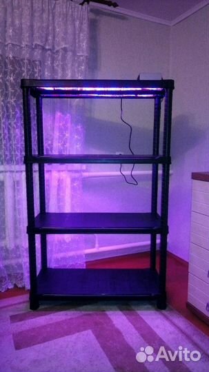 Стеллаж с подсветкой для рассады цветов