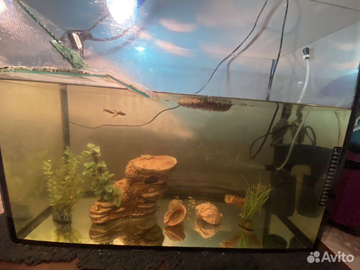 Аквариум 100 литров