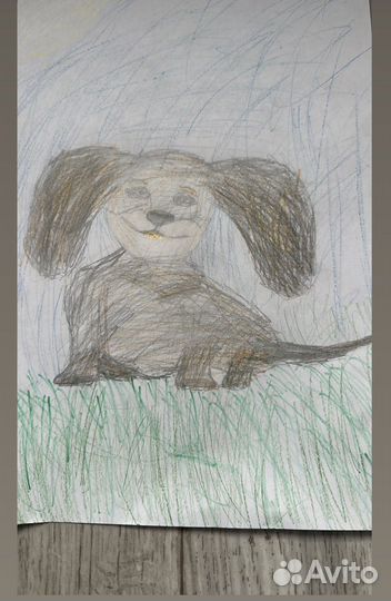 Рисую ваших питомцев