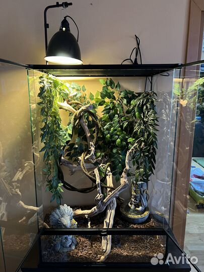 Принадлежности для террариума