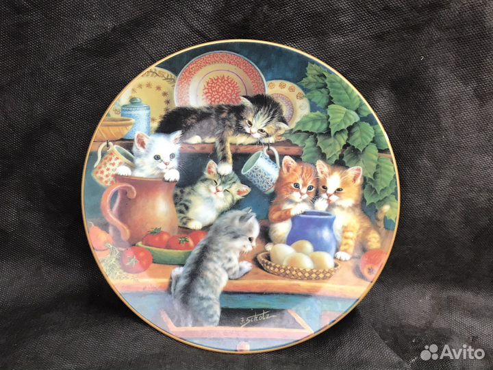 Коты котята тарелка Германия