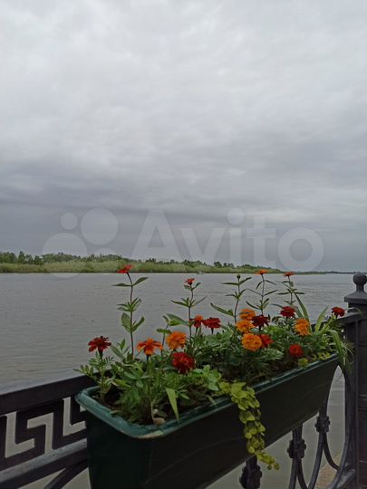 3-к. квартира, 96,2 м², 13/13 эт.