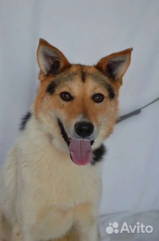 Девочка по кличке Му