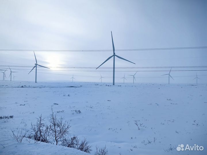 Экскурсия в Териберку