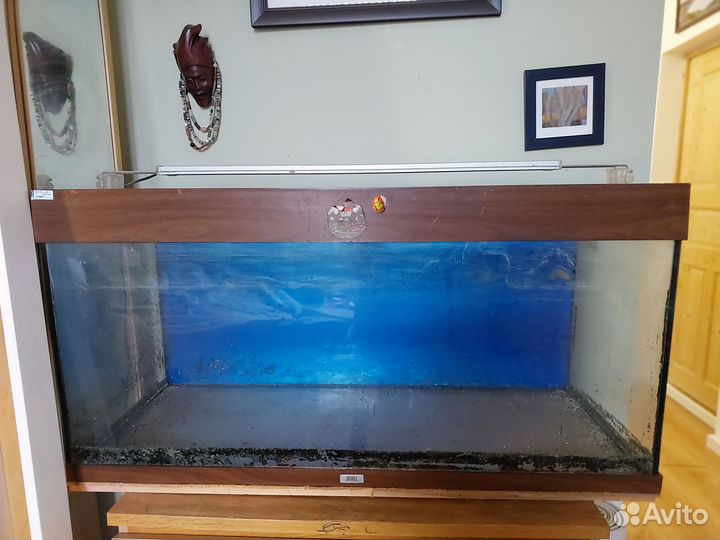 Аквариум juwel (Германия)