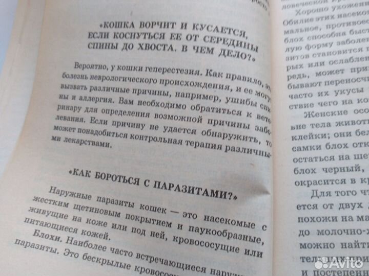 Ваша кошка,Н.Непомнящий