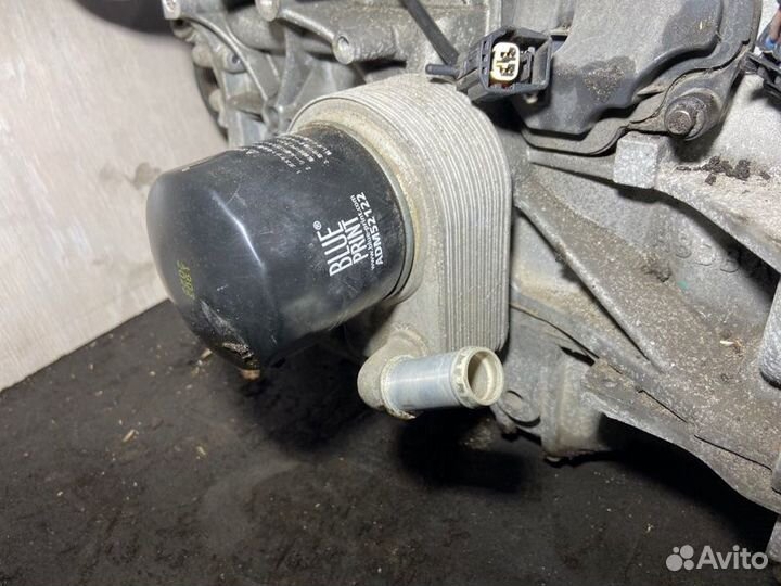 Радиатор масляный Ford Focus 3 (11-14) хэтчбек