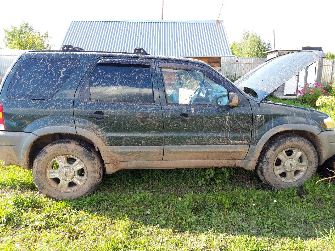 Ford Escape: фото владельца