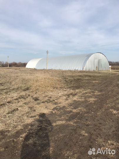 Ферма действующая