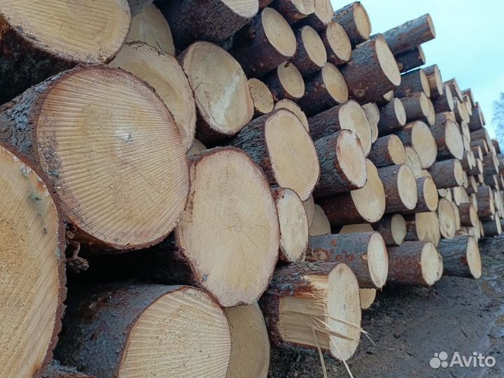 Лес кругляк пиловочник