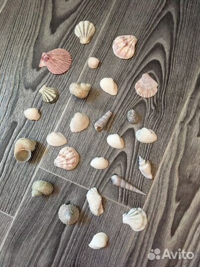 Все для аквариума