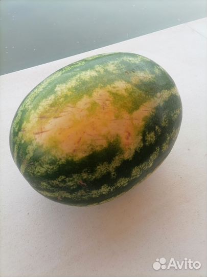 Арбузы оптом