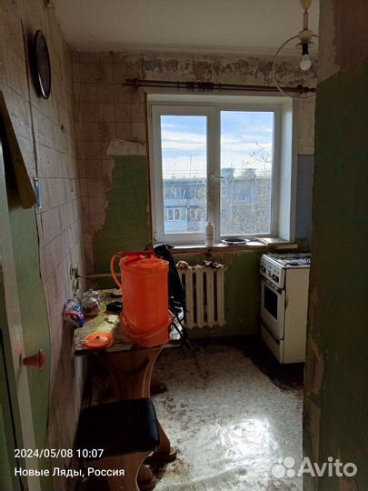 Клещи крысы уничтожение тараканов клопов