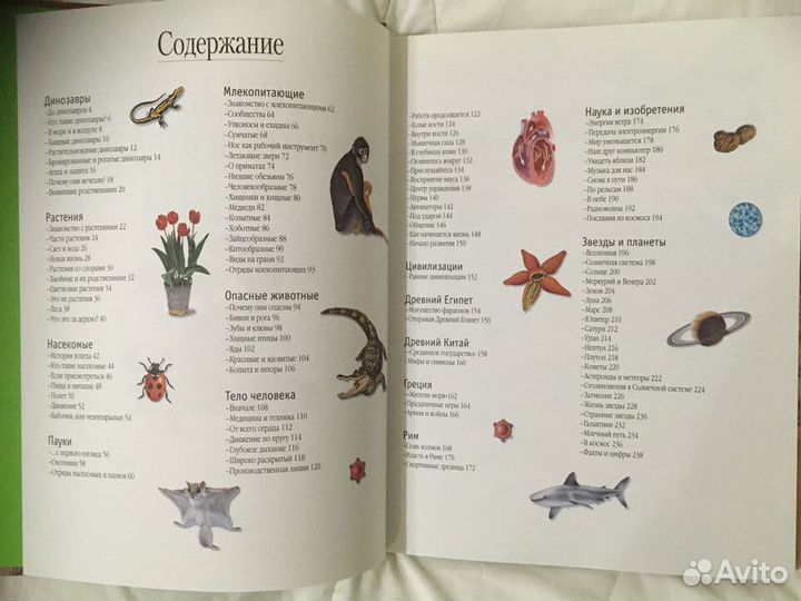 Большая энциклопедия эрудита