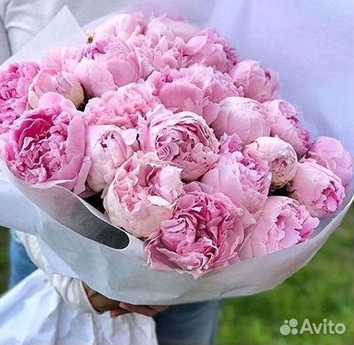 Пионы Букет пионов
