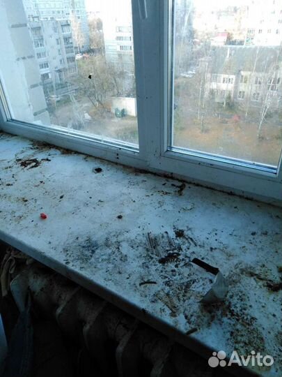 Клининг, уборка квартир, домов, офисов