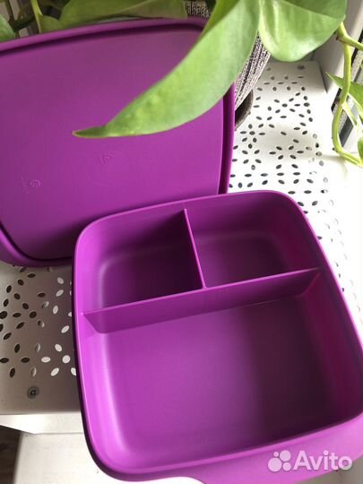 Контейнер ланч-бокс Tupperware