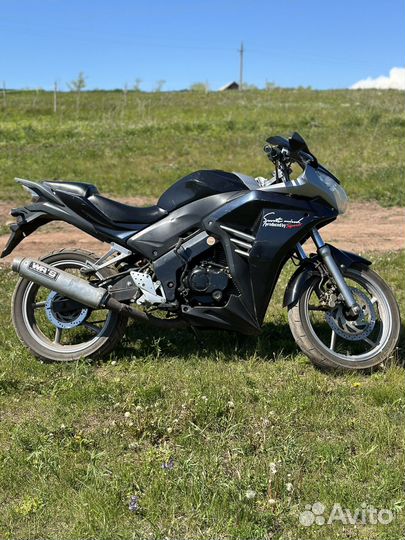 Raser skyway 250
