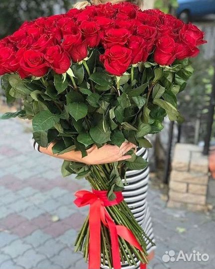 51 Роза, Букеты Цветы Розы 25 101 501 1001