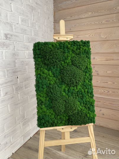 Панели из стабилизированного мха. Мы в Омске