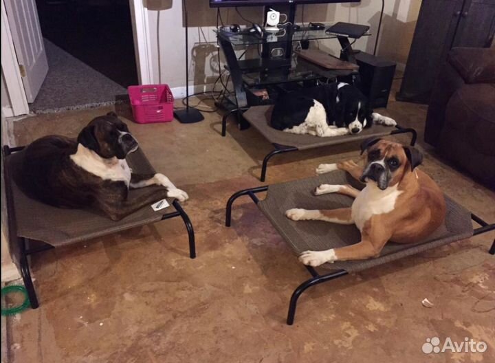 Лежанка для собаки