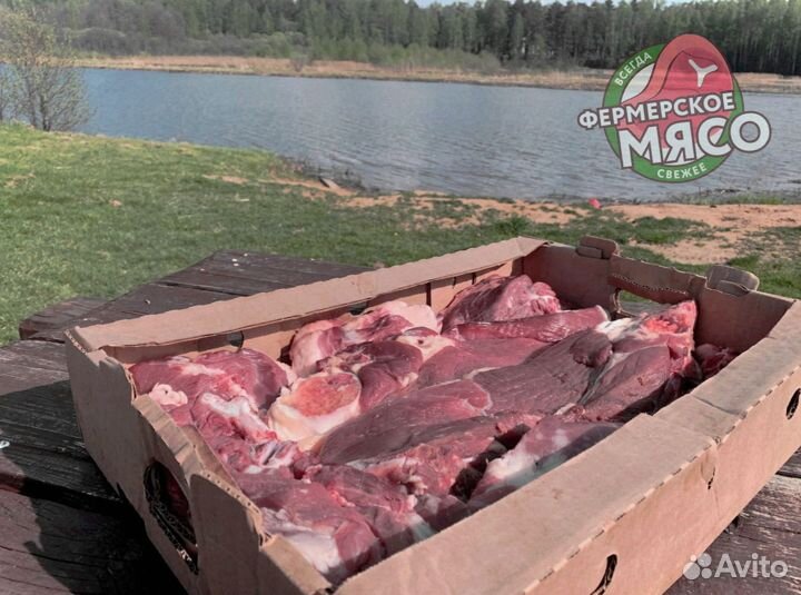 Мясо говядина