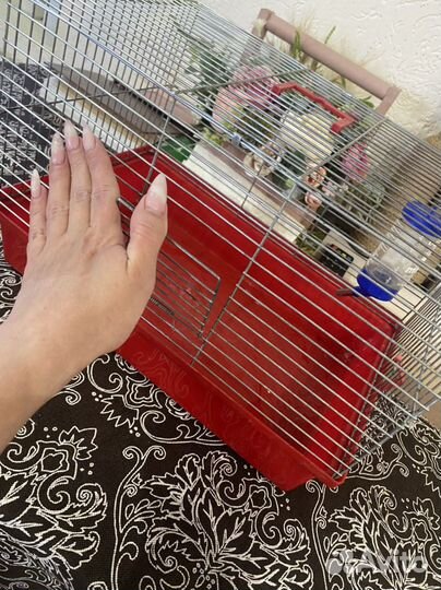 Клетка для грызунов