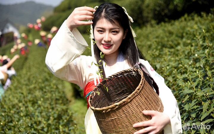 Молочный Улун – Вечерний Чай Антистресс