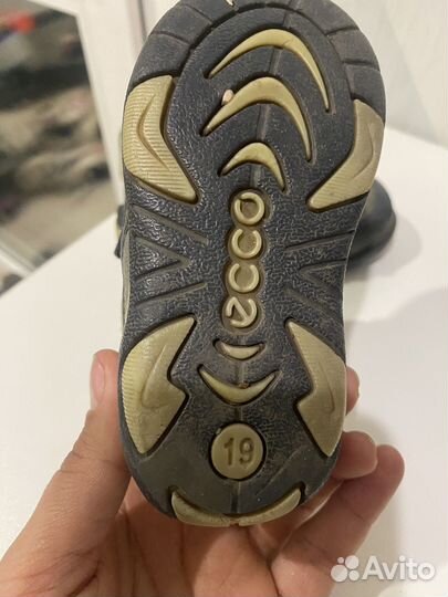 Ботинки ecco 19 размер