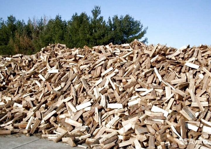 Дрова для бани