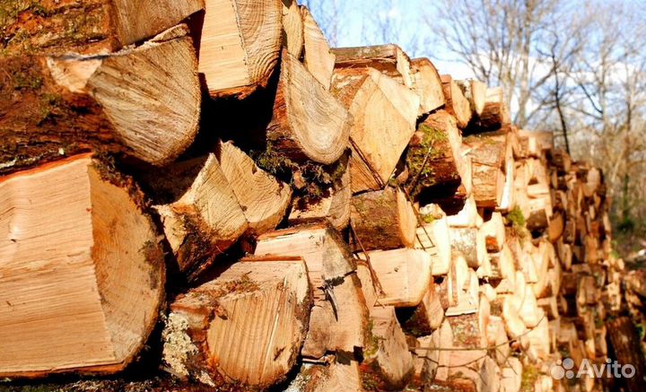 Дрова береза осина ольха