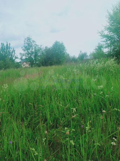 Участок 8 сот. (ИЖС)