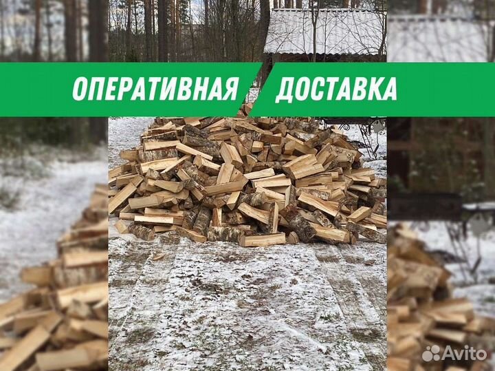 Дрова колотые березовые