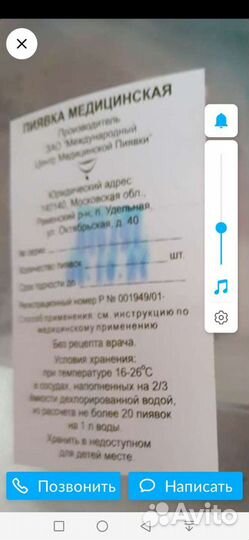 Пиявки медицинские