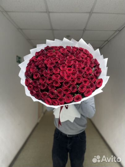 Роза 101 штук