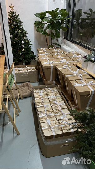 Магазин растений и флорариумов