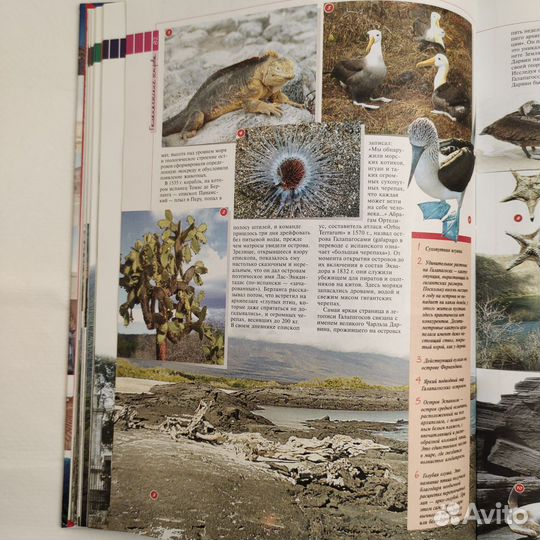 Книги о странах, путешествиях, интересных местах