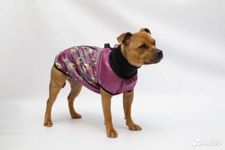 Жилетка для собак